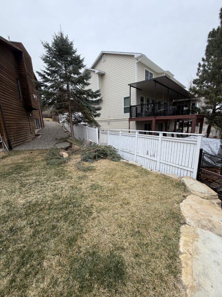 Tree Removal in Billings MT: Safe, Spotless Solutions for Wind-Damaged Trees This 2026 Spring 2 Spotless yard after tree removal in Billings MT by All Tree Works