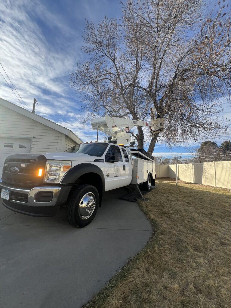 Spring Tree Trimming in Billings MT: 6 Reasons Why the Warmer Weather This Week Makes It the Perfect Time 1 Tree trimming in Billings MT – crew using bucket truck during early spring warm weather by All Tree Works