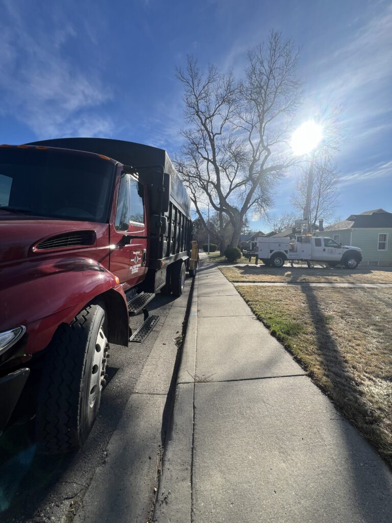 Tree Service in Billings MT: 7 Smart Ways to Choose the Best One 1 How to choose the right tree service in Billings MT – All Tree Works crew and equipment